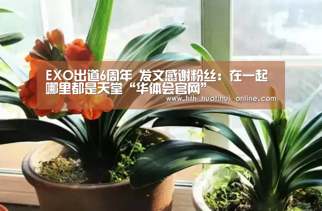 华体会官网